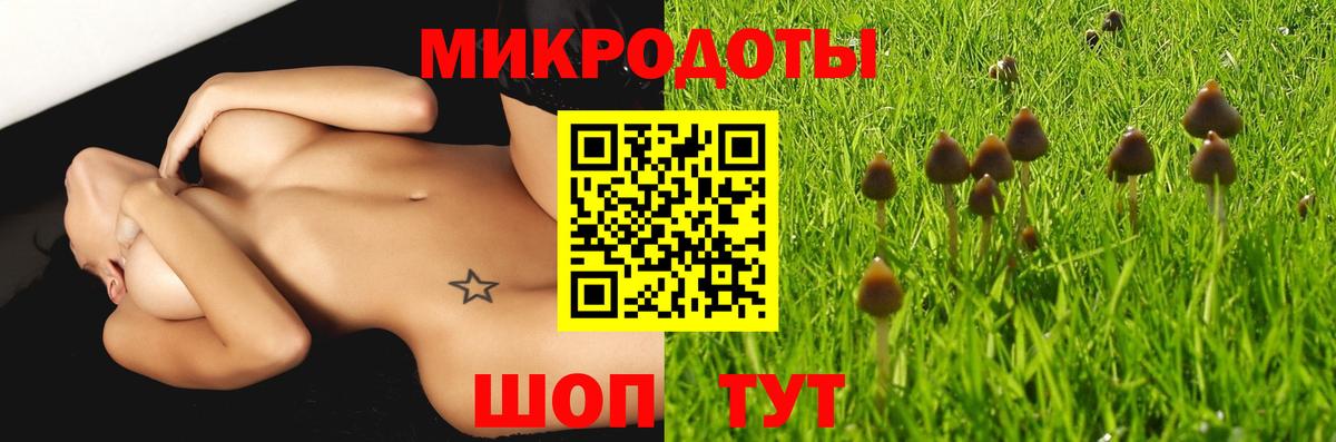 Псилоцибиновые грибы GOLDEN TEACHER Унеча